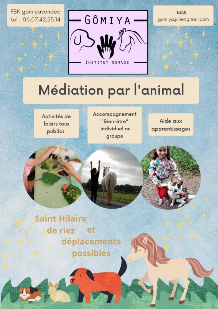 Séance de médiation équine par le Poney à L'Aiguillons sur Vie